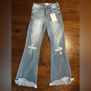 Hidden Happi Crop Flare Stretch Jean